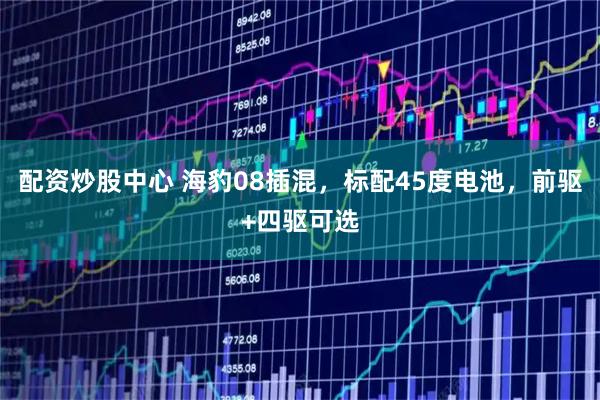 配资炒股中心 海豹08插混，标配45度电池，前驱+四驱可选